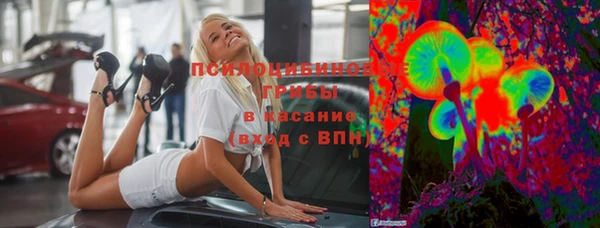 соль ск Арсеньев