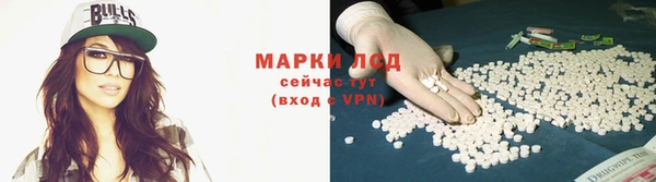 соль ск Арсеньев
