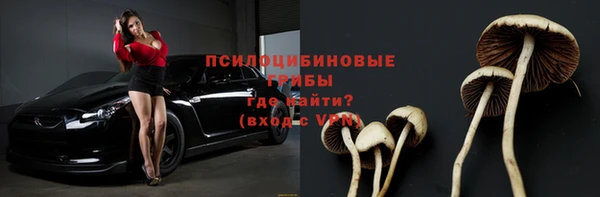 соль ск Арсеньев