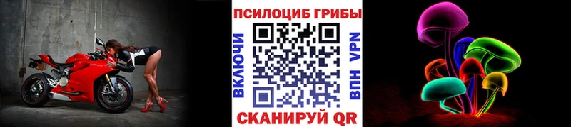 Псилоцибиновые грибы MAGIC MUSHROOMS  блэк спрут ссылка  Ишимбай 