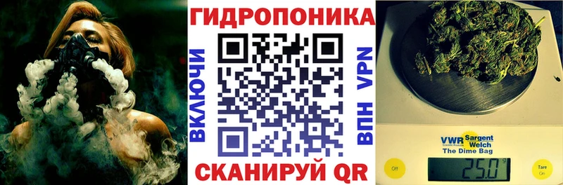 MEGA Ишимбай Канабис семена купить цена